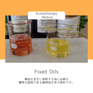 アロマテラピーの為の植物油マスター